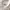 Japanese brand Streetwear Casual Hoody Pria white photo 4