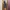Club Monaco Biker Casual Parka Pria black photo 2