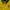 Nike Vintage Sportswear Track jacket Pria green yellow photo 5