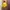 Nike Vintage Sportswear Track jacket Pria green yellow photo 4