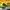 Nike Vintage Sportswear Track jacket Pria green yellow photo 7