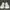 Gucci Streetwear Sneakers Wanita white photo 3