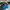 Adidas Sportswear Minimalist Sneakers Pria navy cream photo 1