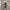 Adidas Sportswear Jersey Pria white photo 2