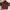 Japanese brand Vintage Bomber jacket Pria brown photo 4