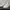 Casual Casual shoe Pria white photo 1