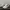 Casual Casual shoe Pria white photo 3