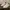 Casual Casual shoe Pria white photo 7