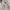 Japanese brand Sportswear Casual Puffer jacket Pria cream photo 4
