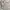Japanese brand Sportswear Casual Puffer jacket Pria cream photo 2