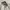 Japanese brand Sportswear Casual Puffer jacket Pria cream photo 3