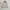 Japanese brand Sportswear Casual Puffer jacket Pria cream photo 1