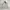 Japanese Brand Sportswear Casual Puffer Jacket Pria Cream