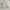 Japanese brand Sportswear Casual Puffer jacket Pria cream photo 7