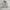 Japanese brand Sportswear Casual Puffer jacket Pria cream photo 5