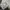 Y2K Formal pants Pria white photo 2