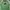 Streetwear Suit Pria green white photo 1