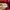Vintage Streetwear Sweatshirt Pria burgundy photo 6