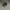 Adidas Gorpcore Sportswear Hat Pria black photo 2