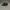 Supreme Streetwear Skater Hat Pria brown black photo 3