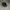 Supreme Streetwear Skater Hat Pria brown black photo 6