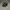 Supreme Streetwear Skater Hat Pria brown black photo 2