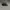 Supreme Streetwear Skater Hat Pria brown black photo 4
