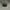 Supreme Streetwear Skater Hat Pria brown black photo 5