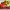 Sportswear Casual Sneakers Pria green yellow photo 1
