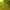Sportswear Casual Sneakers Pria green yellow photo 7