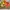 Sportswear Casual Sneakers Pria green yellow photo 5