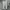 Nike Sportswear Sweatpants & Joggers Pria gray photo 1