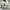New Balance Streetwear Sportswear Sweatpants & Joggers Pria gray photo 5