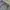 Vintage Streetwear Jeans Pria gray photo 4
