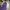 New Era Vintage Hat Pria purple white photo 2
