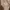 H&M Streetwear Hoody Wanita tan photo 3
