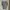 The North Face Streetwear T-shirt Pria gray photo 5