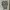 The North Face Streetwear T-shirt Pria gray photo 1
