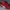 Puma Y2K Casual Pria red photo 2