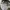Japanese brand Gorpcore Sportswear Parka Pria green photo 4