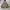 Japanese brand Gorpcore Sportswear Parka Pria green photo 1