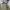 Japanese brand Gorpcore Sportswear Parka Pria green photo 3