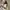 Japanese brand Y2K Gorpcore Puffer jacket Wanita white brown photo 5