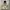 Japanese brand Y2K Gorpcore Puffer jacket Wanita white brown photo 3