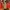 Uniqlo Vintage Cottagecore Maxi Skirt Wanita Red