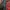 GAP Streetwear Casual Pea coat Wanita red black photo 4