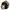 Carhartt Streetwear Casual Denim Jacket Pria Brown Black
