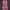 Luxury Minimalist Bodycon dress Wanita red photo 1