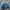 Casual Bomber jacket Pria blue photo 2
