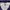 Carhartt Streetwear Windbreaker Pria purple photo 4